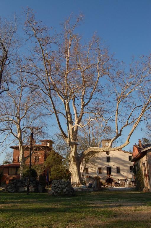 Piaggetta Bed and breakfast Quiesa